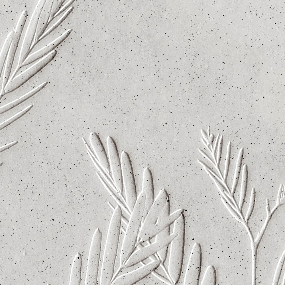             Fototapete »fern« - Farnblätter vor Betonputzstruktur – hell | Glattes, leicht perlmutt-schimmerndes Vlies
        