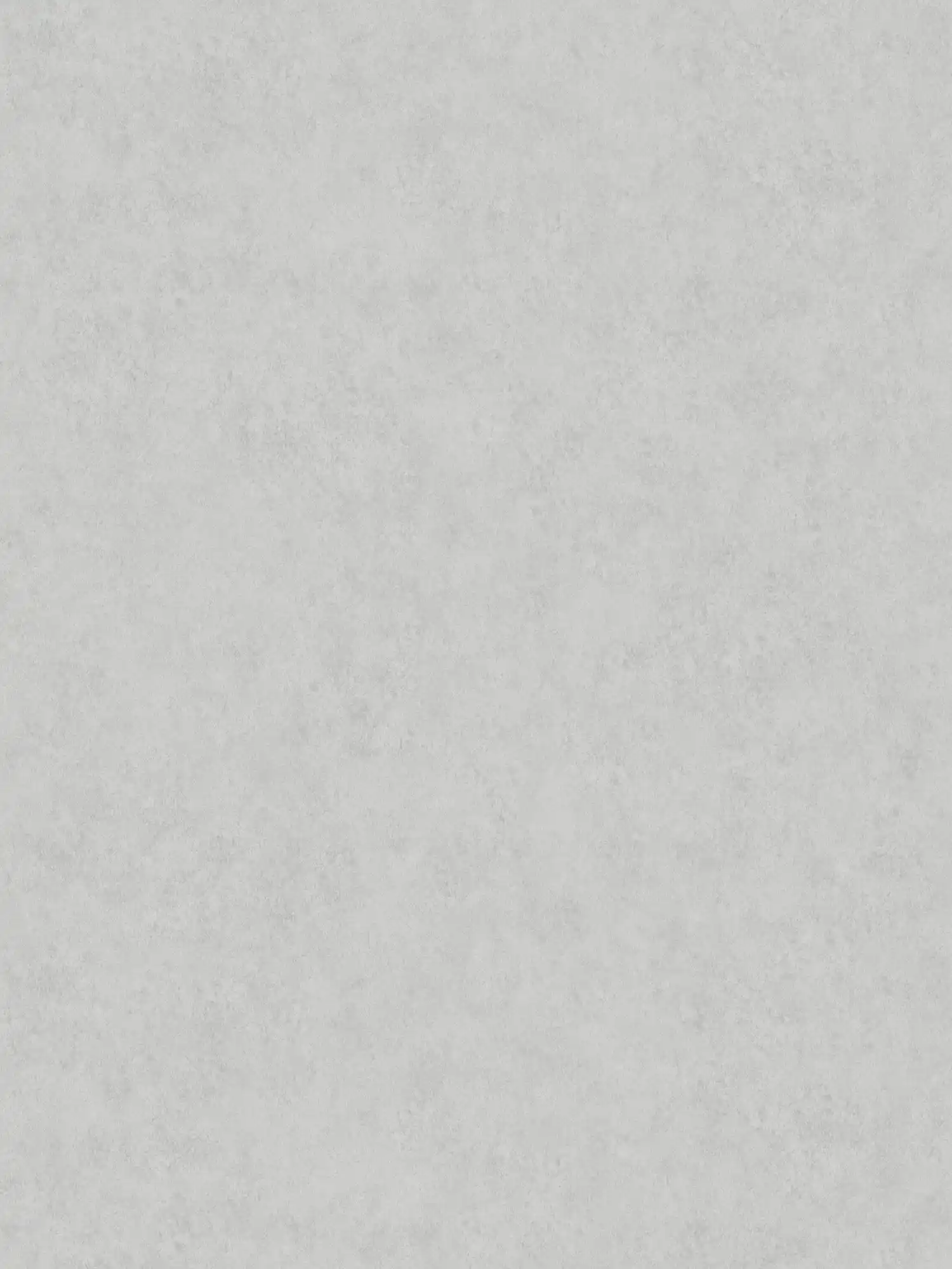         Unitapete in Putzoptik – Grau
    