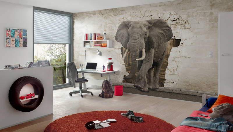             Dierenmotief muurschildering olifant in de muur op premium glad non-woven
        