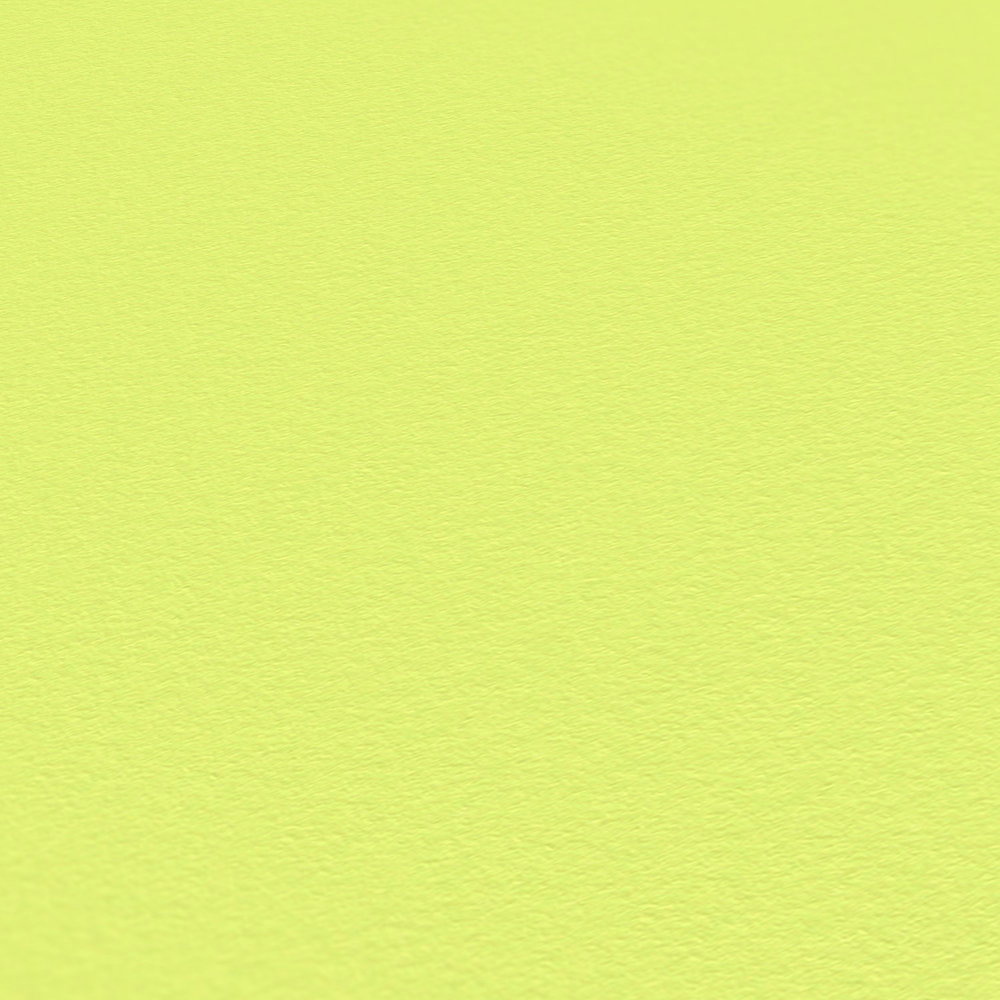             Unitapete Lindgrün mit Struktureffekt, helles Grün
        