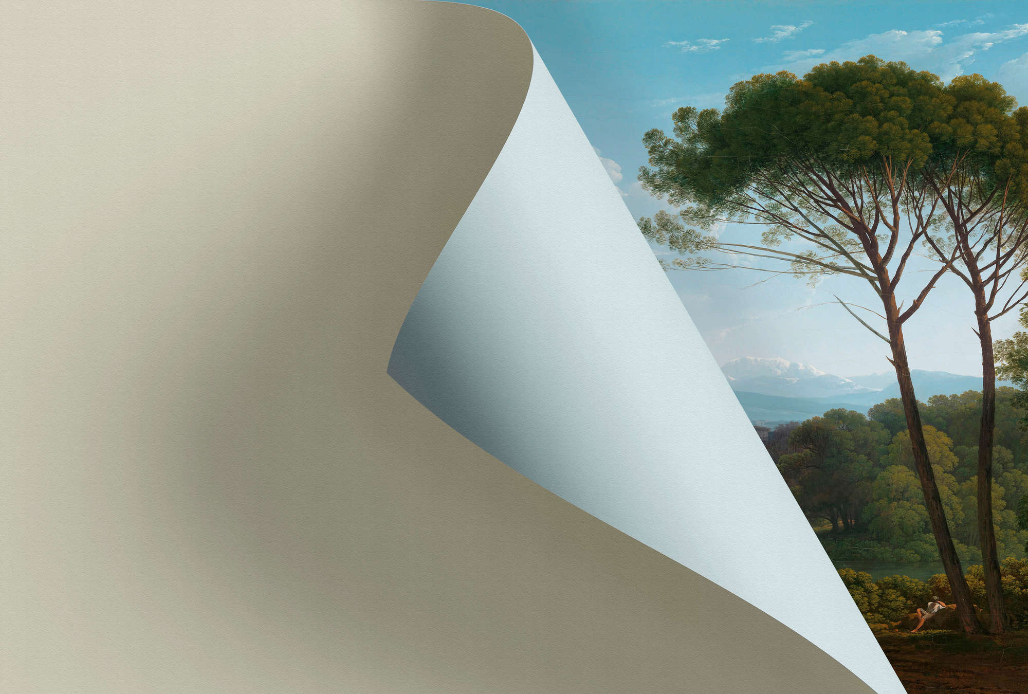 Steigung, Pflanze, Baum, Eiche, Bergahorn