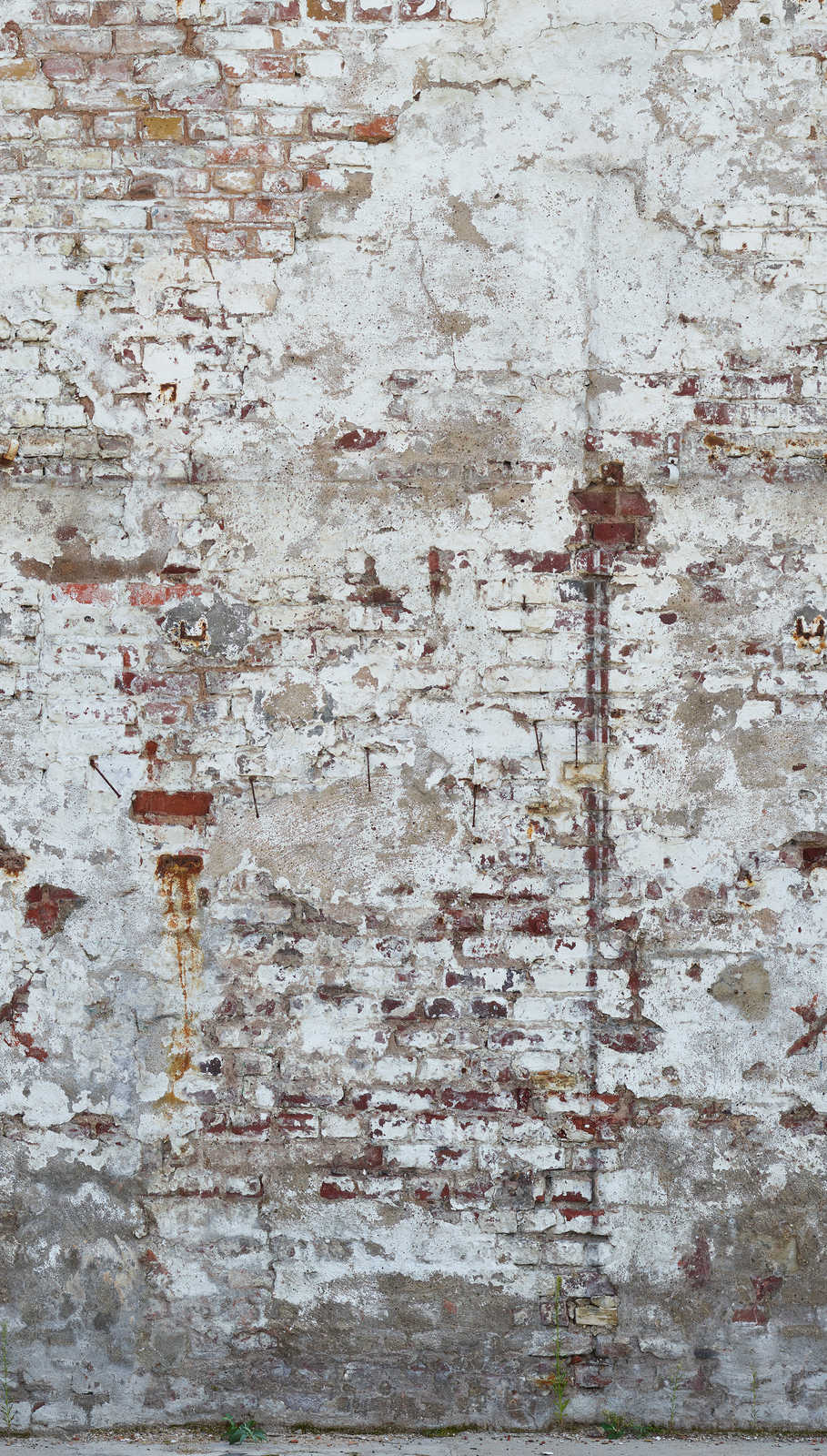             Tapete mit Stein und Betonoptik im Used Look – Weiß, Creme, Grau
        