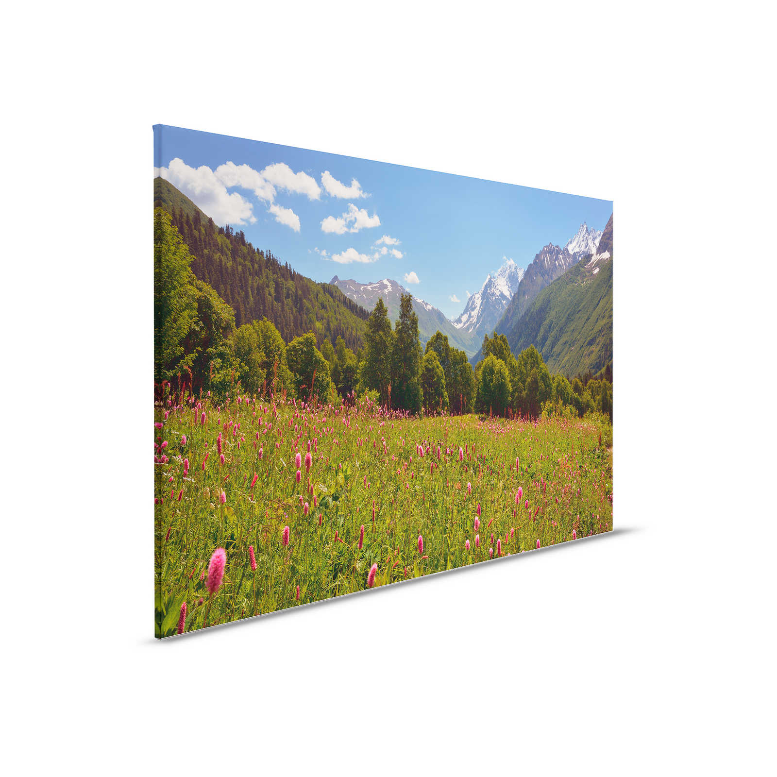         Natur Leinwandbild Wiesen- und Berglandschaft – 0,90 m x 0,60 m
    