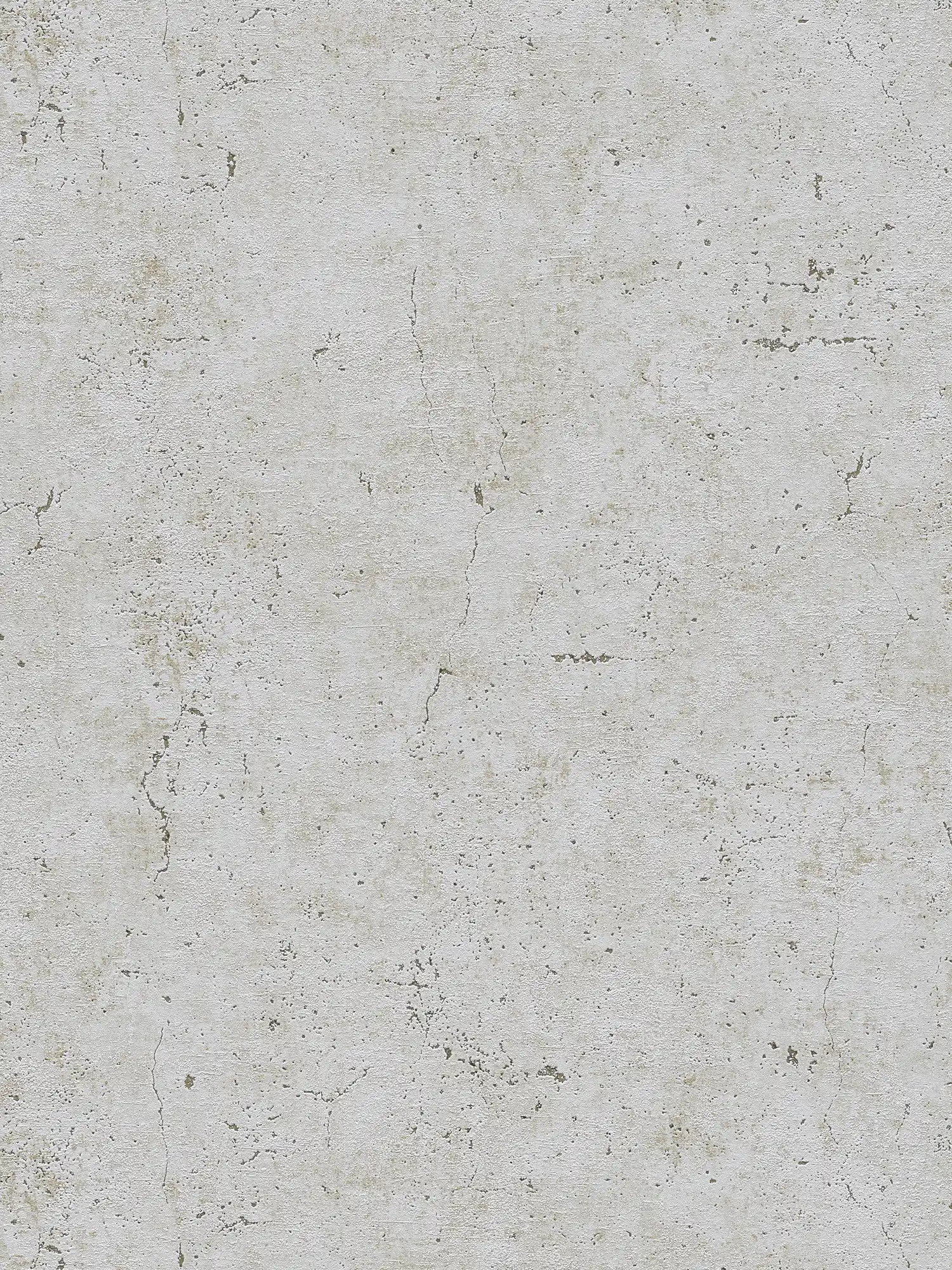 Wallpaper with concrete look, optical cracks & pores - grey