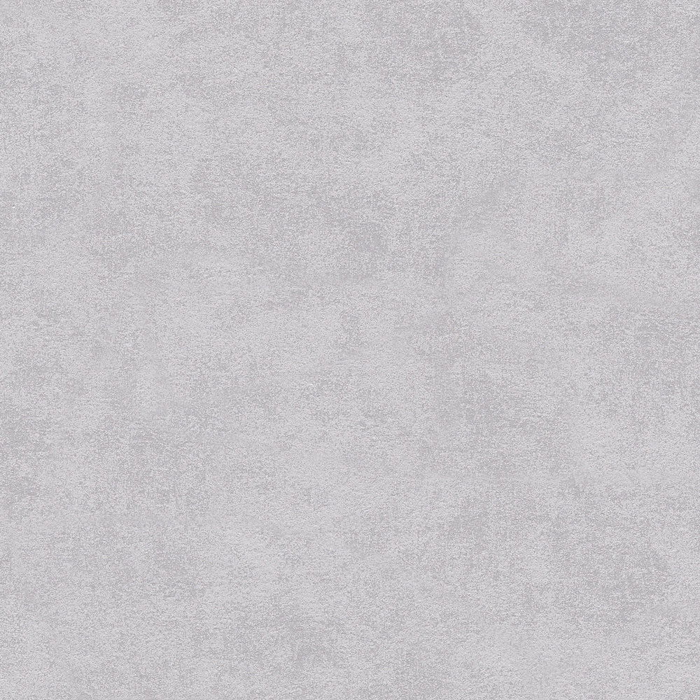             Vliestapete Beton-Grau matt mit Strukturprägung
        