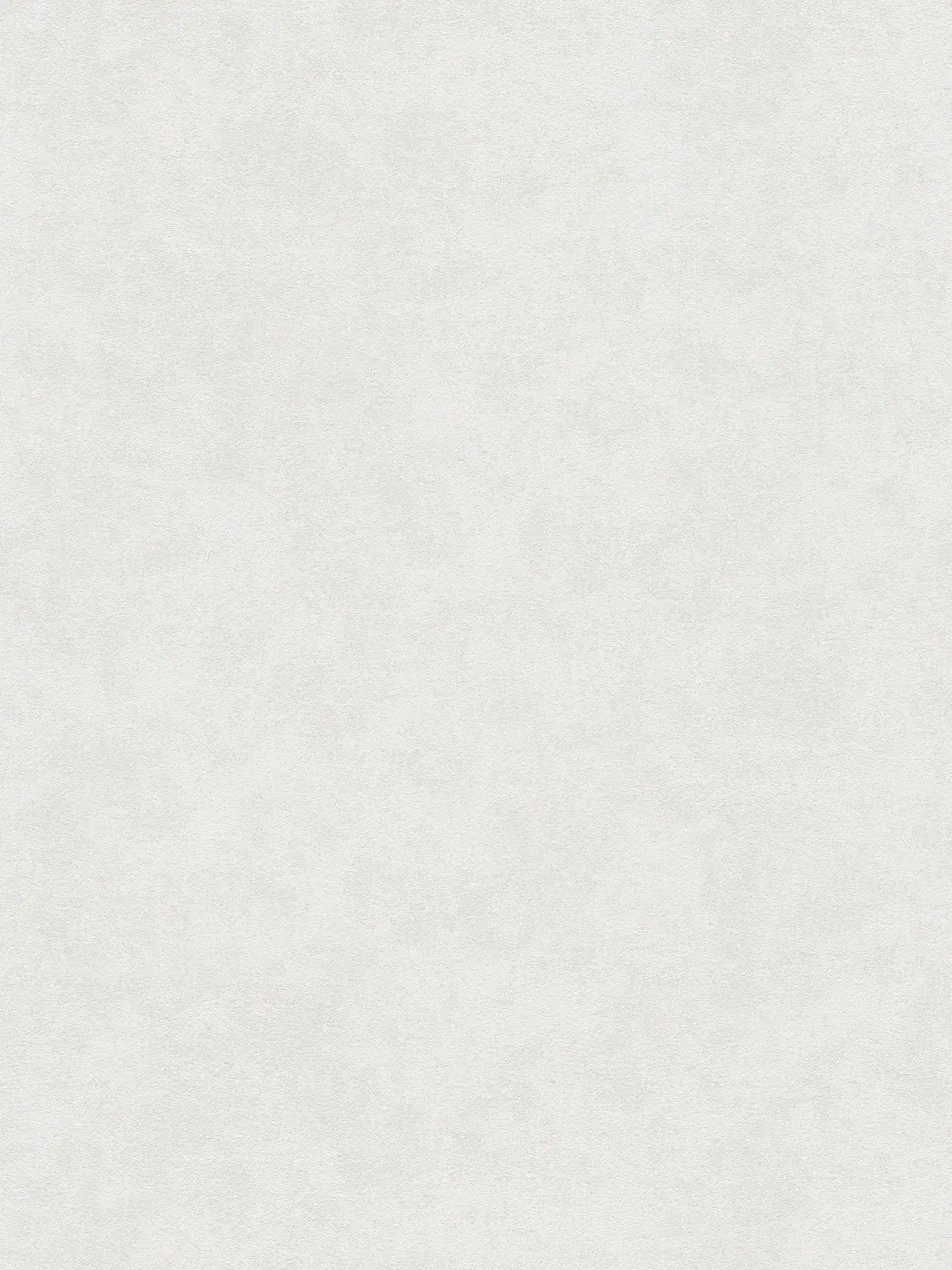         Vliestapete in Putzoptik mit glatter, matter Oberfläche – Grau
    