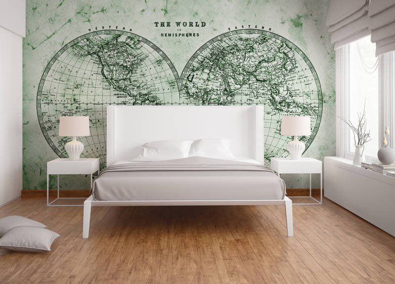             Vintage Weltkarte in Hemisphären – Grün, Grau, Weiß
        
