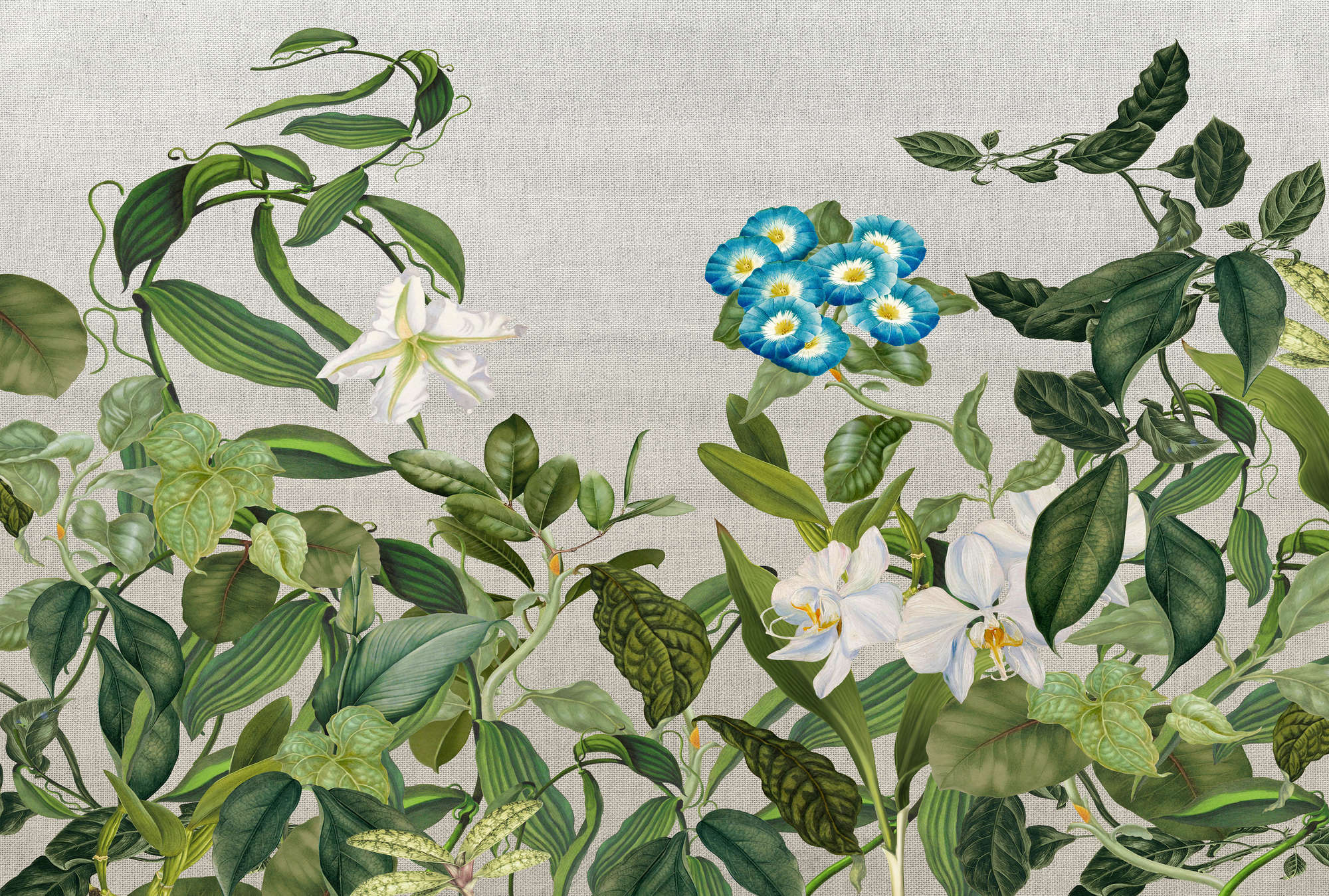 Muster, Florales Design, Grafiken, Blume, Pflanze