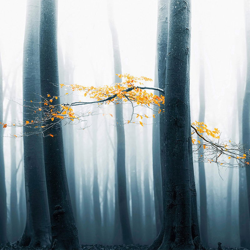         Architects Paper Fototapete AP Digital 4
    