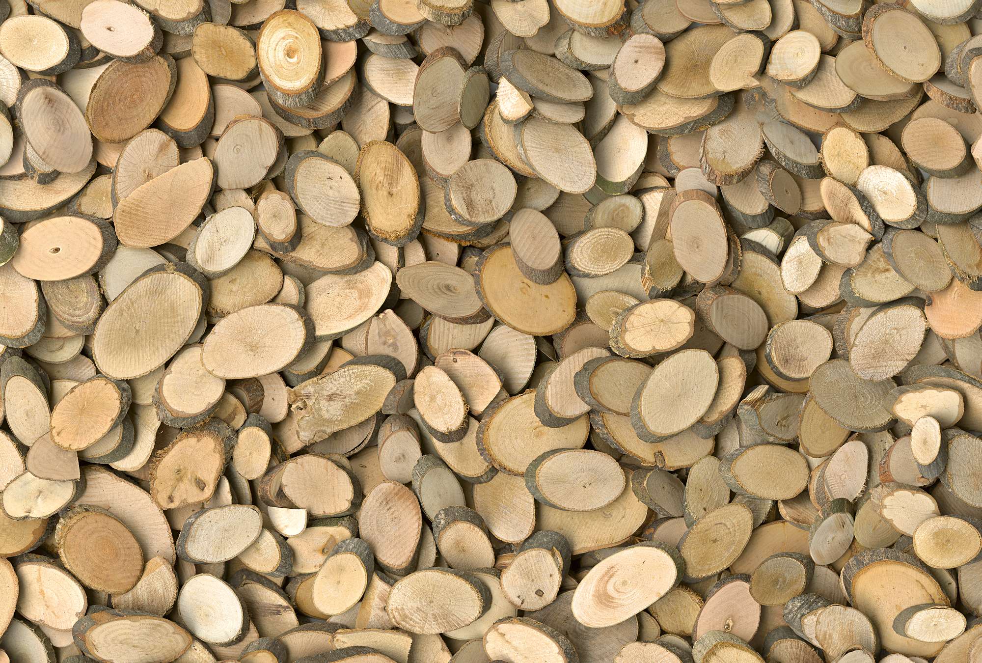holzscheiben, holzscheibe, rundholz, schnittreste, holzschnitt