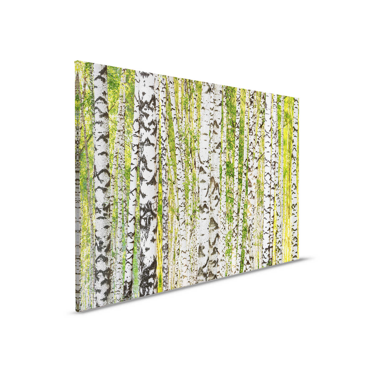         Berkenbos Canvas Schilderij Boomstam Motief - 0.90 m x 0.60 m
    