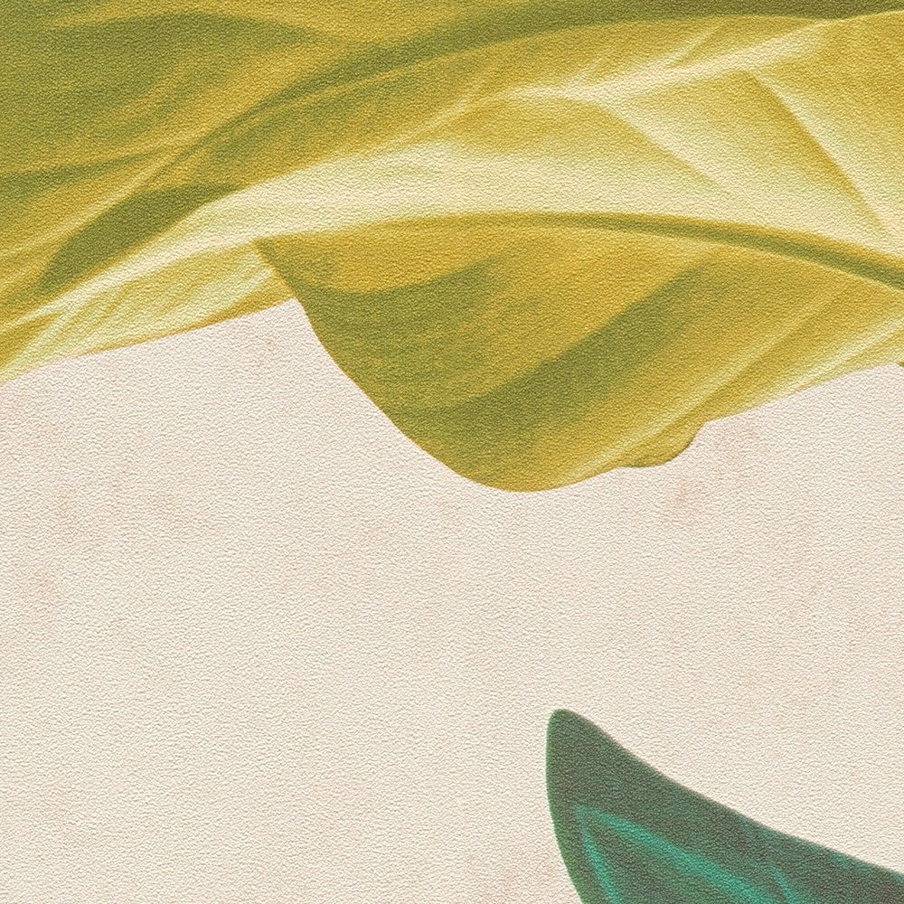             Behang met bladmotief in heldere kleuren - kleurrijk, crème, groen
        