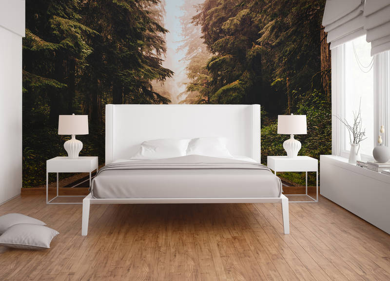 Kissen, Dekoration für Zuhause, Innenarchitektur, Lampe