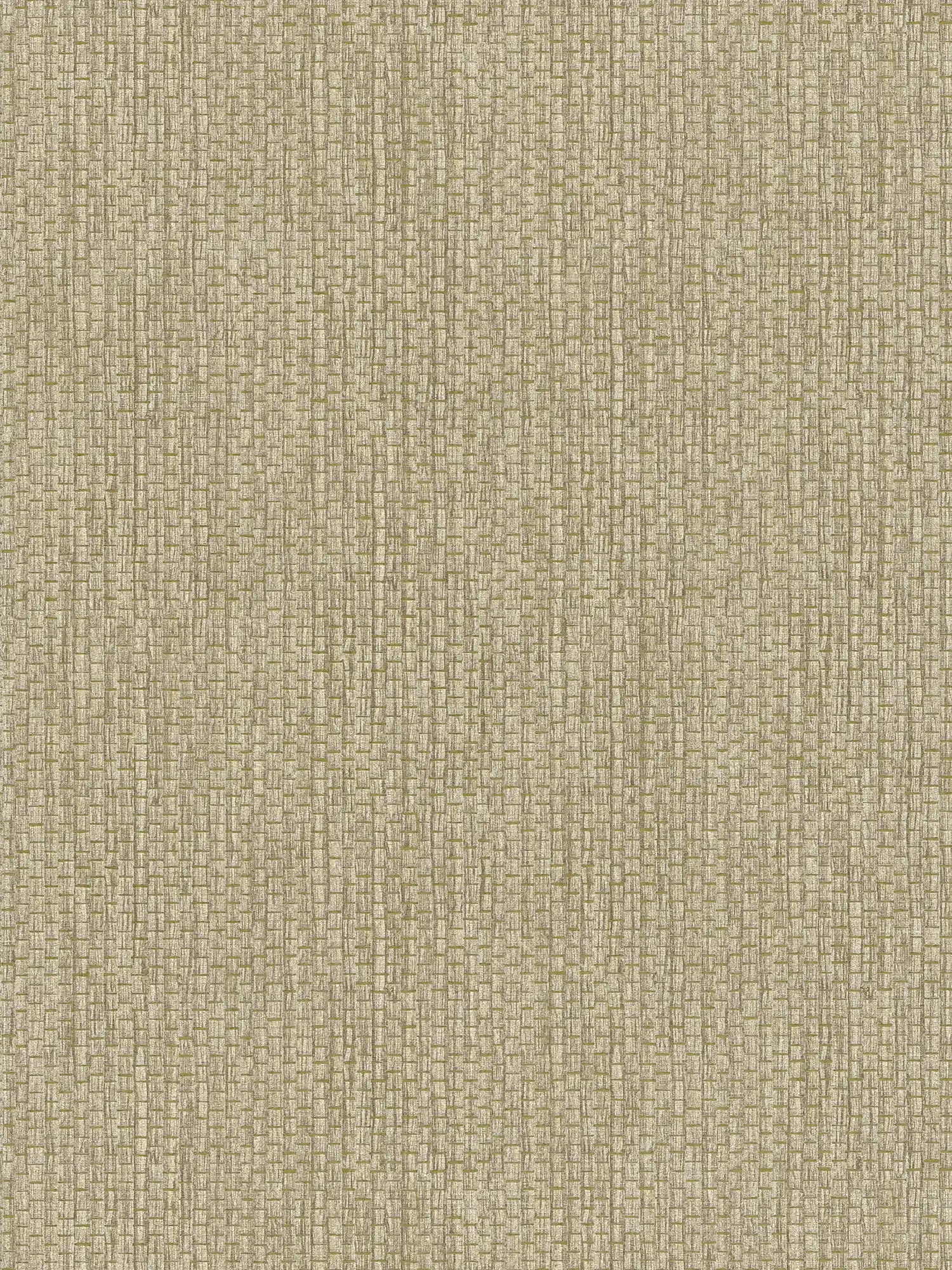         Natuurbehang rietmat design - beige, grijs
    
