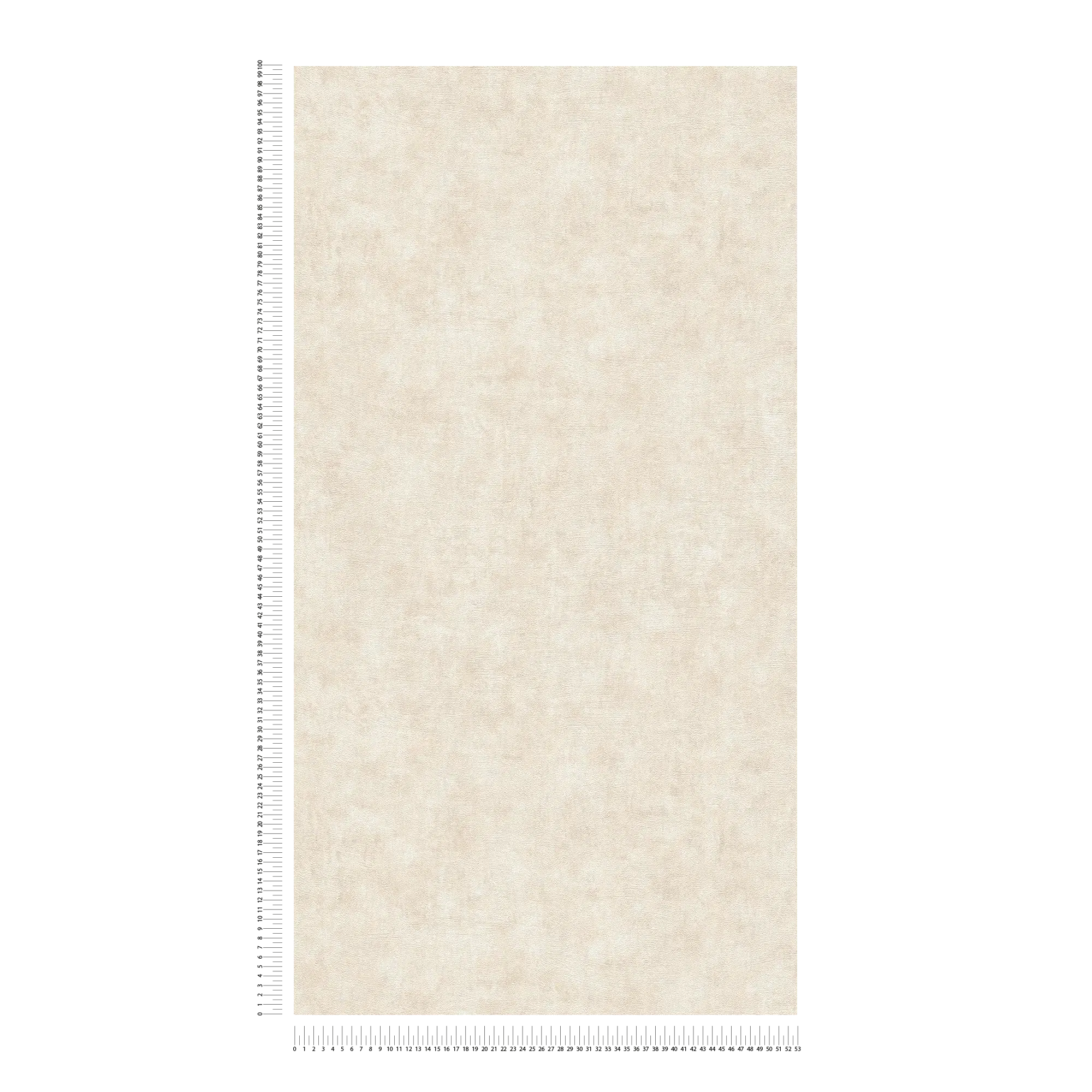             Vliestapete auf Vliesträger mit Betonoptik und sanfter Struktur – Creme, Beige
        