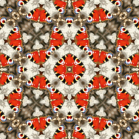 Schmetterling, Muster, Kaleidoskop, Kleeblatt, Rot-orange