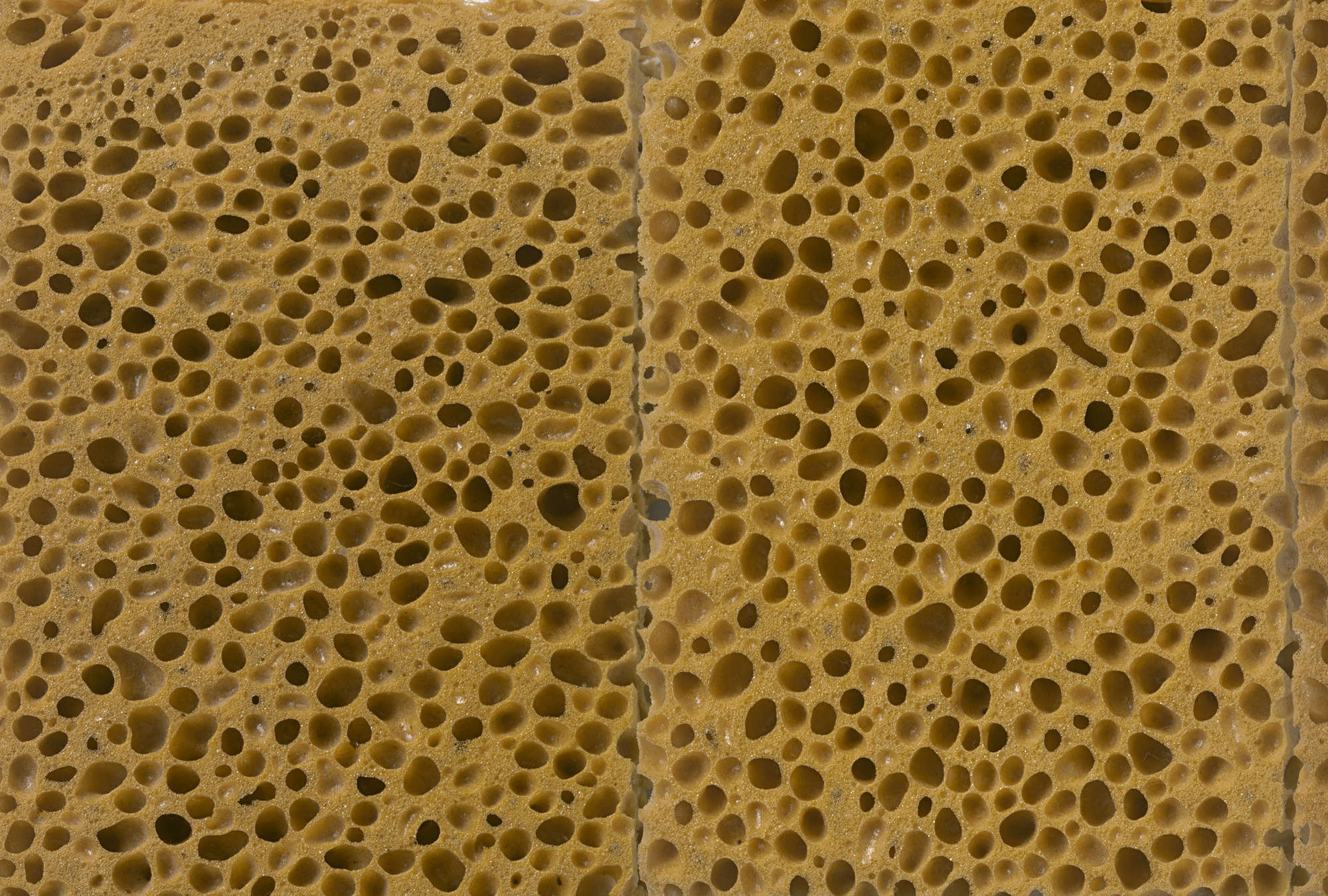             Organische Struktur Vliestapete – Fototapete in realistischer Schwamm Optik – Braun, Schwarz
        