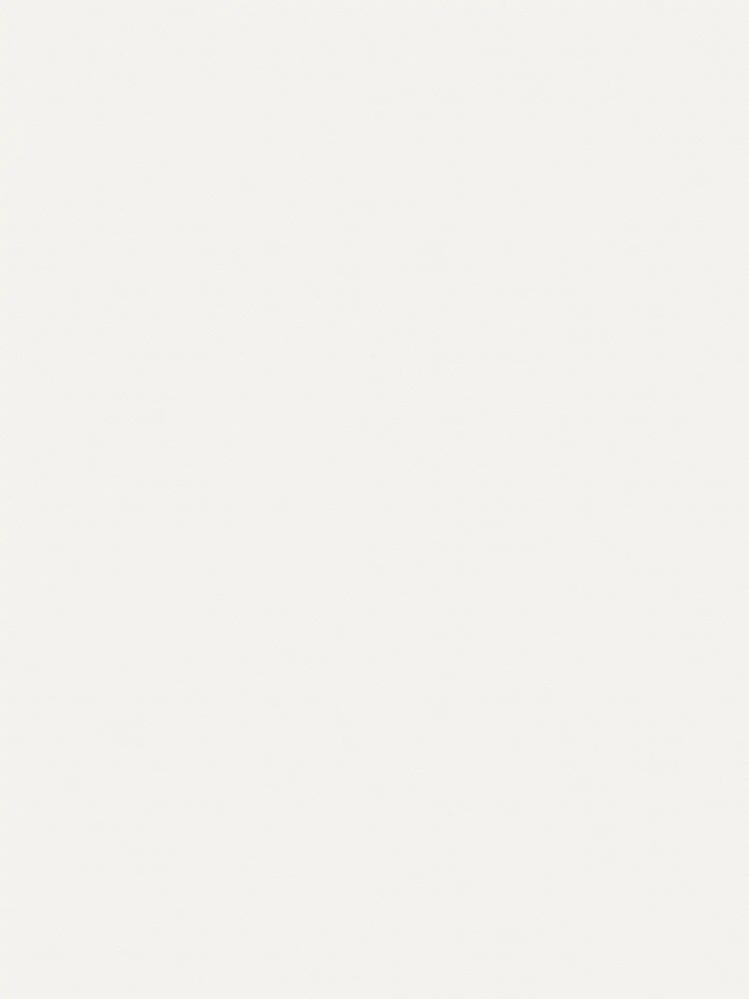         XXL Vliestapete - 'Das Uni' von Tapetenshop - 1,06m Doppelbreite - einfarbig und dezent strukturiert – Schneeweiß
    