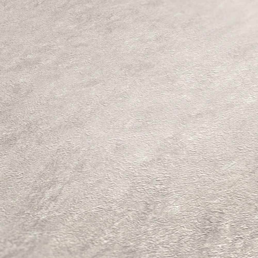             Putzoptik Tapete mit Struktureffekt in Hellgrau
        