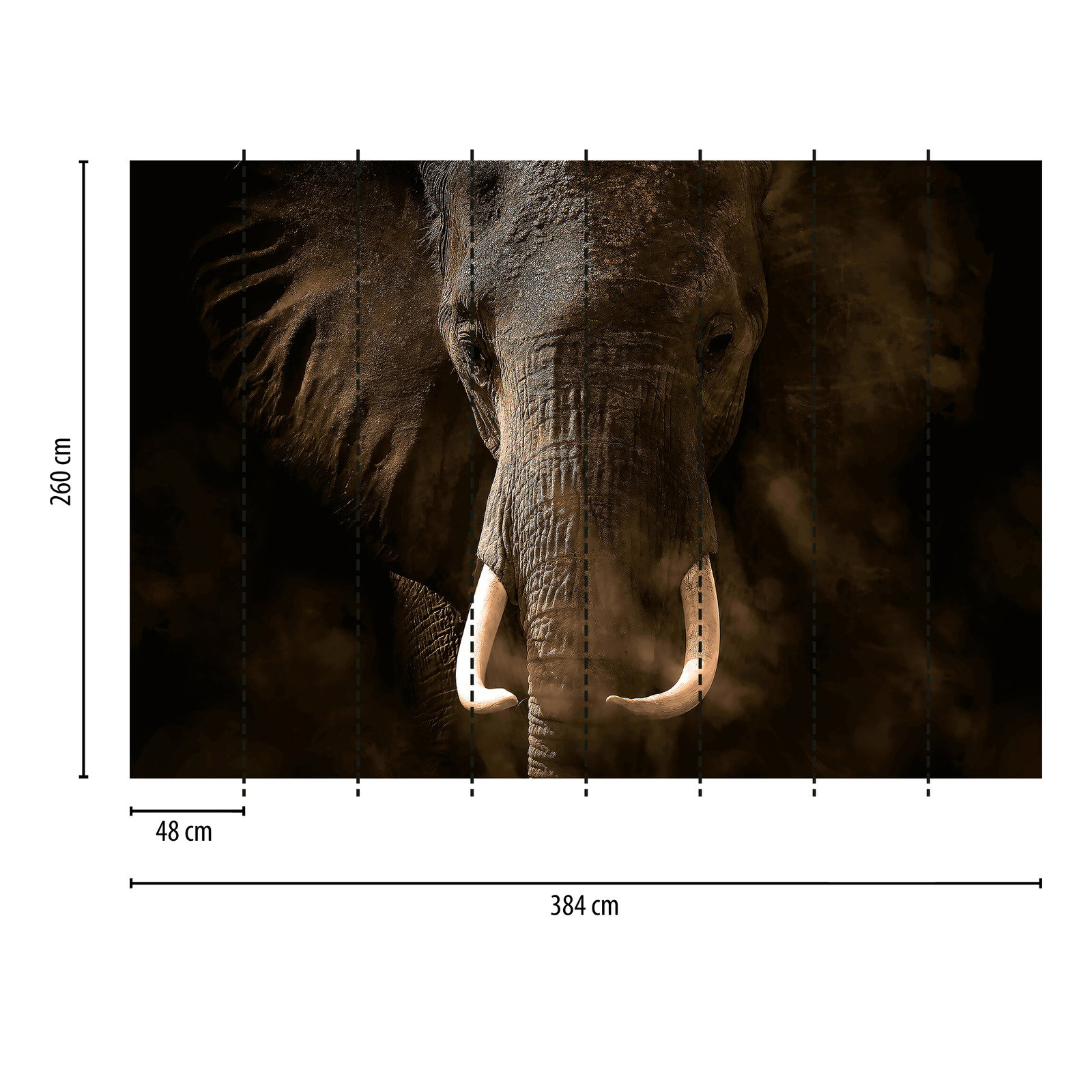 Fototapete Safari Tier Elefant – Grau, Braun, Weiß
