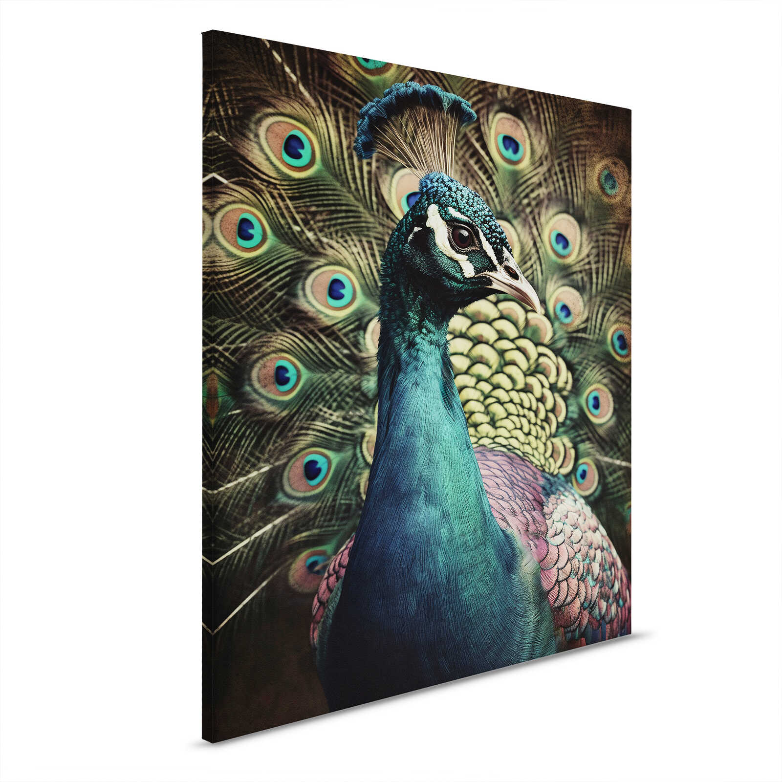 Majestic Peacock - Canvas picture fascinating artwork of a peacock - 40 x 50 cm - Blue, Beige
