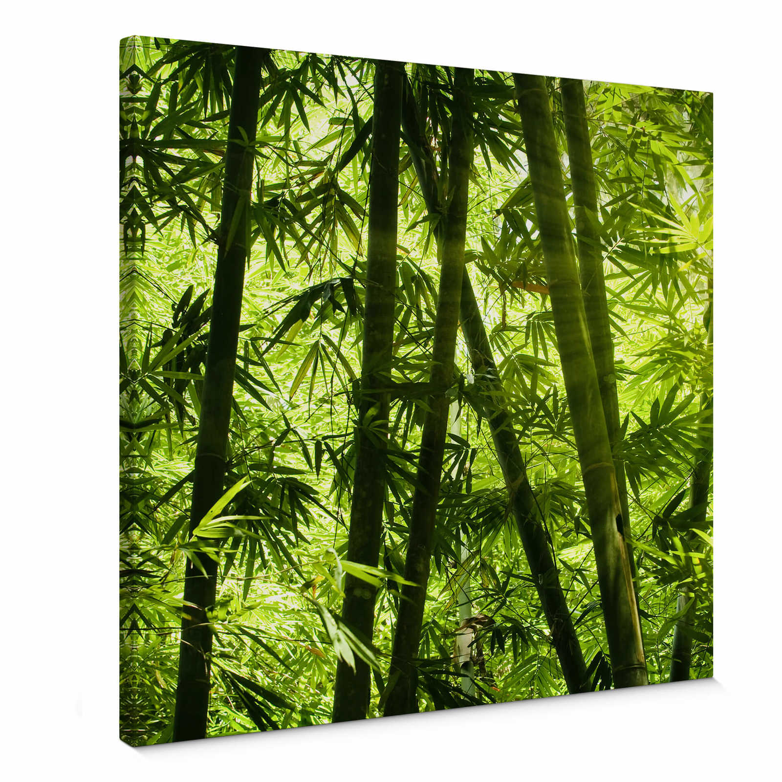         Toile carrée Forêt de bambous et soleil - 0,50 m x 0,50 m
    