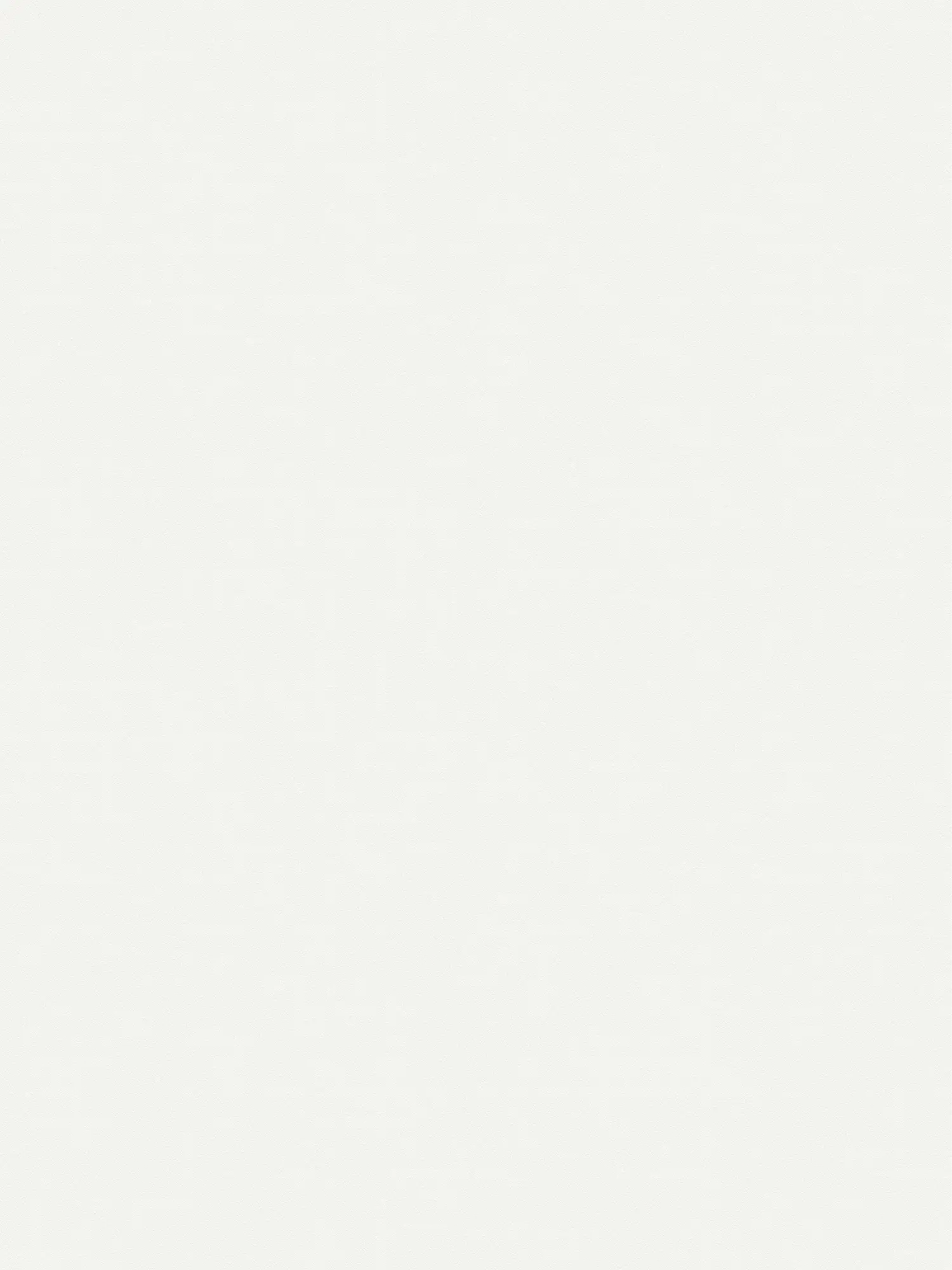         XXL non-woven wallpaper - "Das Uni" from wallpaper shop - 1.06m double width - single-coloured and subtly textured - brilliant, pure white
    