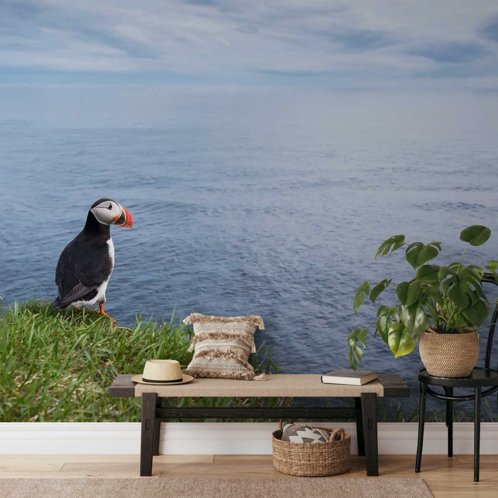 Puffin, Meeresblick, Sitzbank, Korb, Pflanze