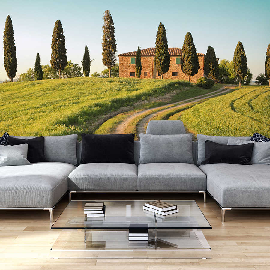         Nature mural way to the mansion on premium smooth non-woven
    