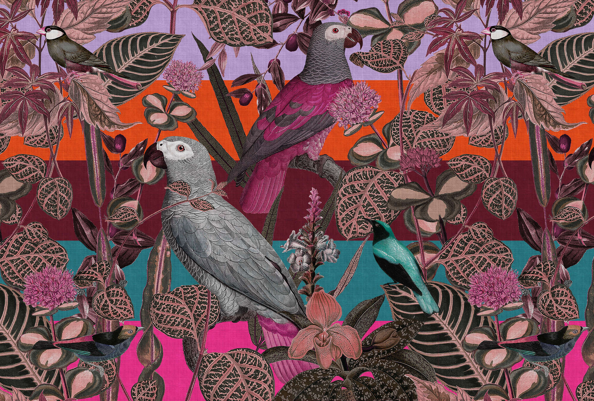 Fototapete »amazona 1« - Exotische Vögel –Violett | Glattes, leicht glänzendes Premiumvlies