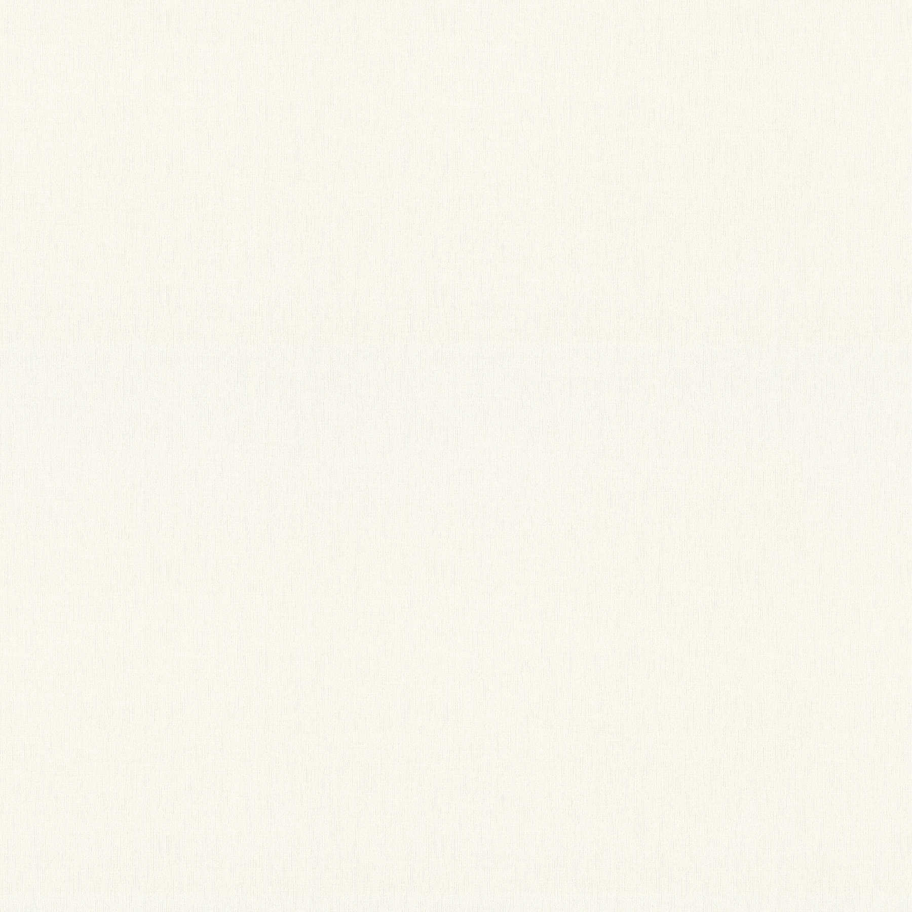         Overschilderbaar vliesbehang glad gestructureerd oppervlak - 106cm breed
    