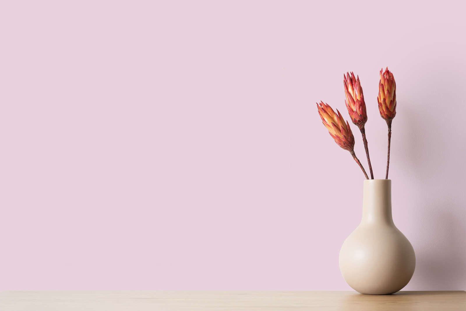 Room picture with flower varsity and pink wall colour DD125561