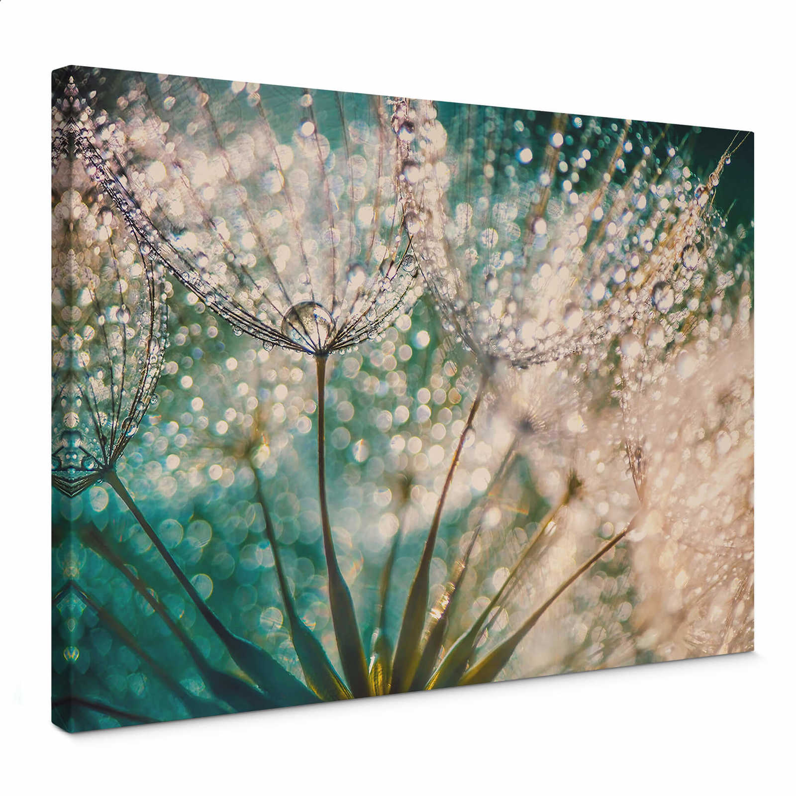         Nombre de lions toile Détail dans la rosée du matin de Delgado - 0,70 m x 0,50 m
    