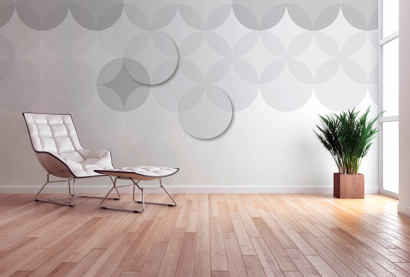 Fußboden, Innenarchitektur, Bodenbeläge, Wand, Pflanze