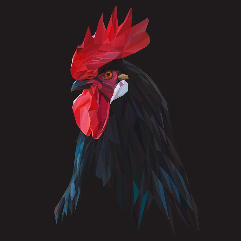 Hahn, Huhn, Hähnenkunst, Polygonkunst, Tierporträt