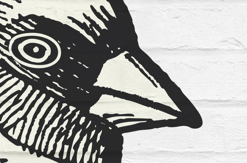 Tier, Schnabel, Vogel