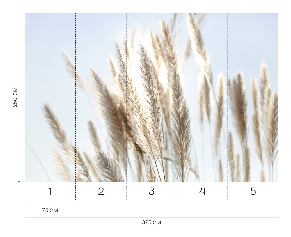             Luftige Pampasgras-Fototapete - Natürliche Eleganz mit sanftem Lichtspiel als Vliestapete – Bunt
        