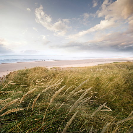strand, see, gras, küste, wolke