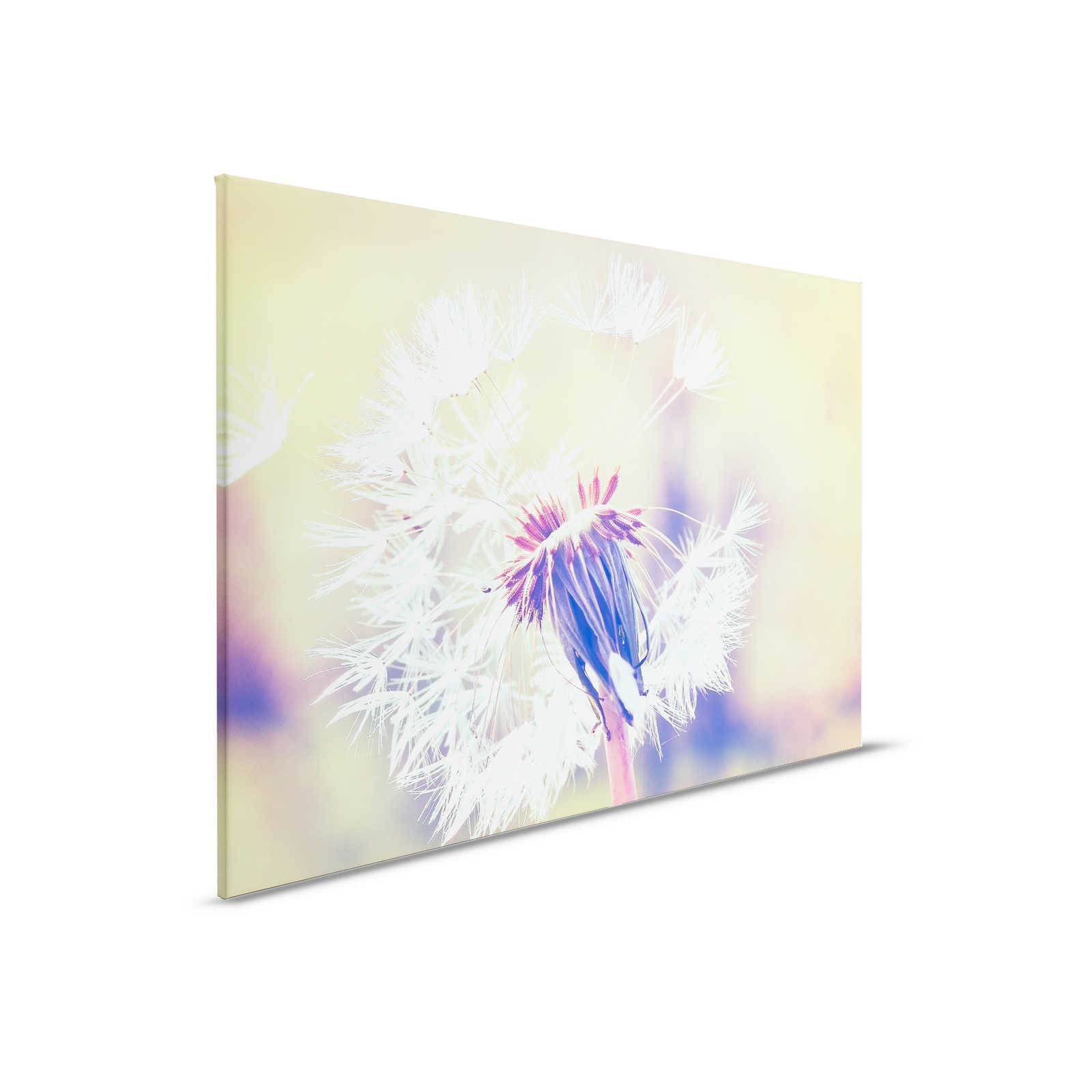         Leinwand mit Pusteblume Bildmotiv | Blau, Violett, Weiß – 0,90 m x 0,60 m
    