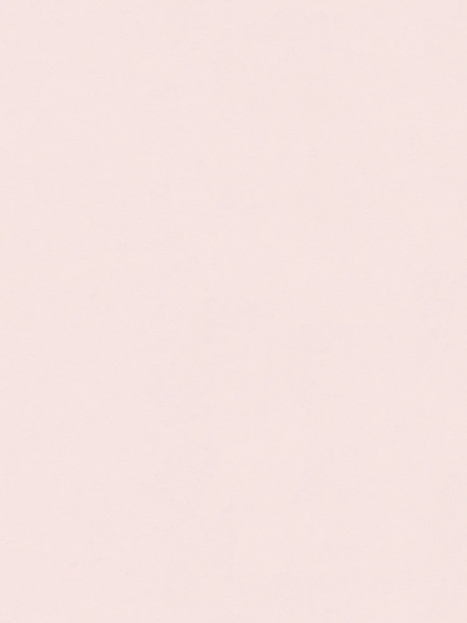             Zartrosa Tapete einfarbig Blush-Farbe matt – Rosa
        