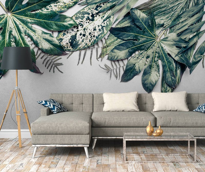             Fototapete Hängegarten Monstera Blätter – Blau, Grün
        