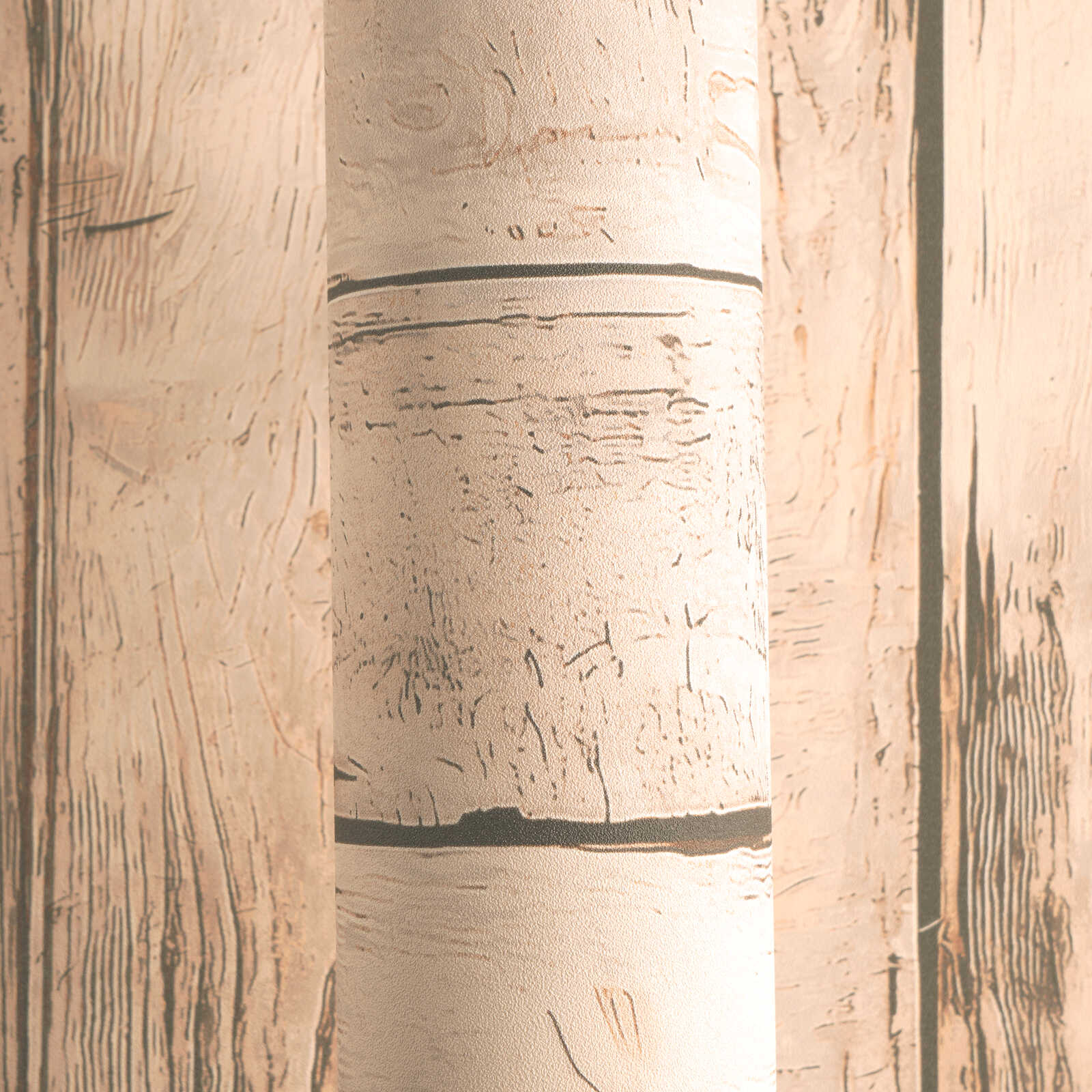 Birkenrinde, Baumstamm, Neutrales Beige, Holzstruktur, Gemusterte Rinde