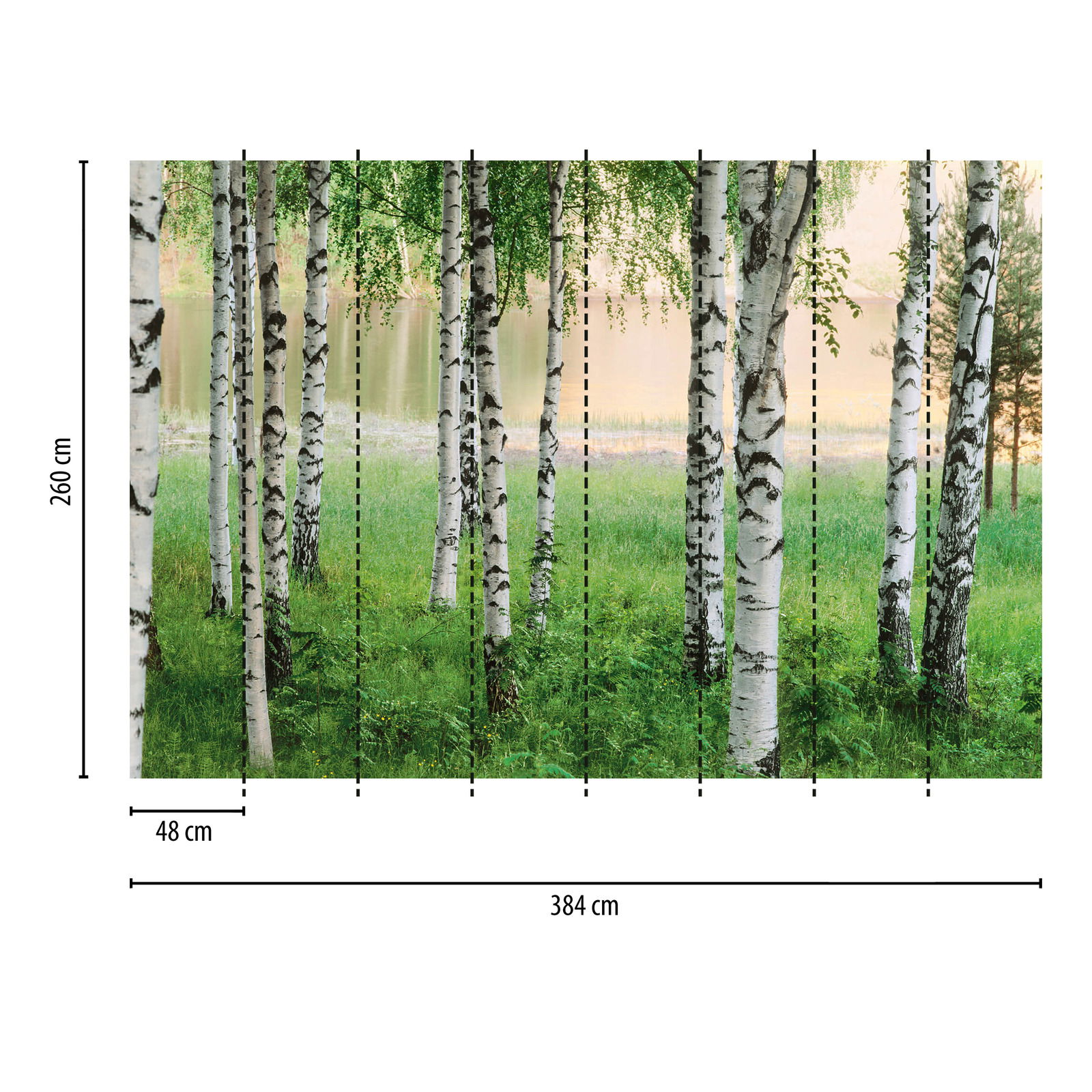             Natur Fototapete Birkenwald am See – Grün
        