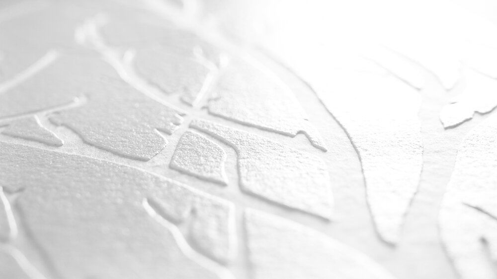             Überstreichbare Tapete mit Ast-Motiv und 3D-Optik – Überstreichbar, Weiß
        