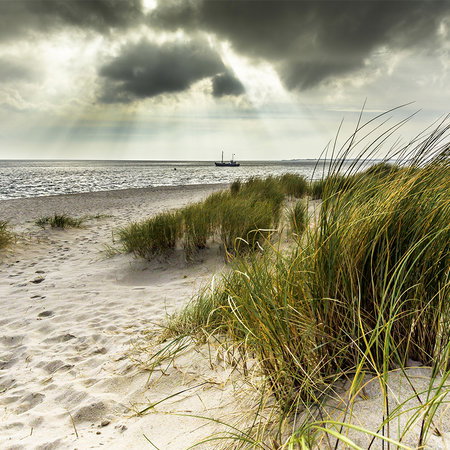 sand, beach, dune, grasses, sea