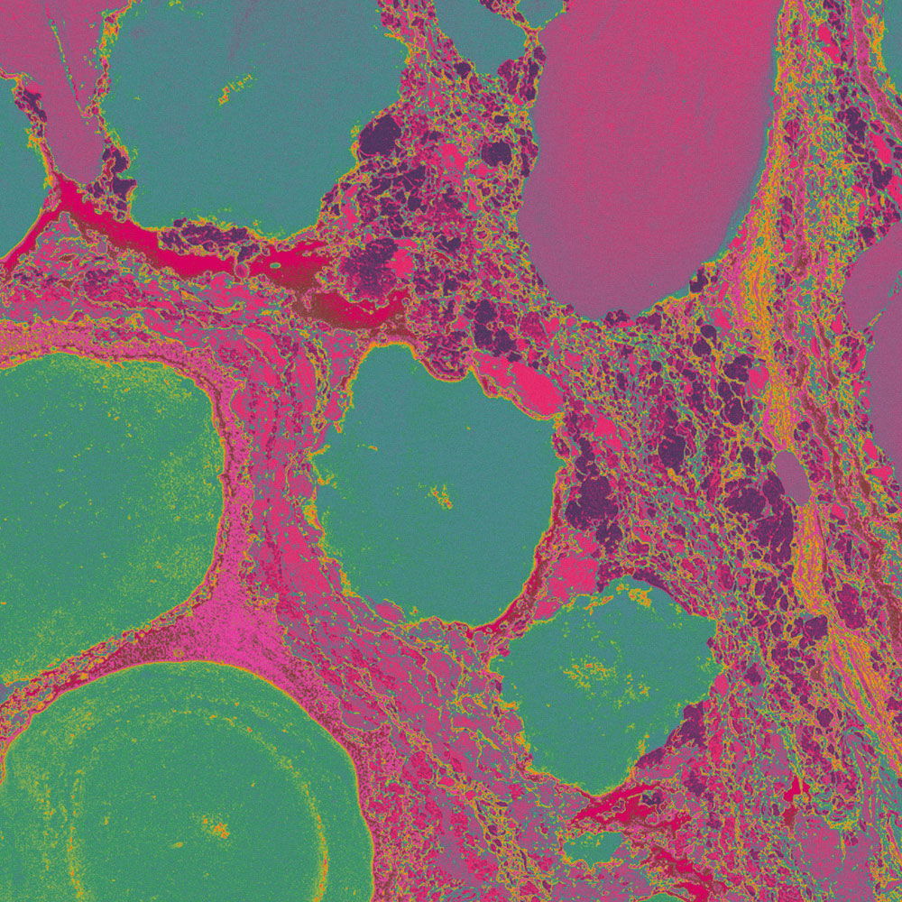             Fototapete »flow« - Farbsplash in knalligen Farben – Grün, Pink, Orange | Glattes, leicht glänzendes Premiumvlies
        