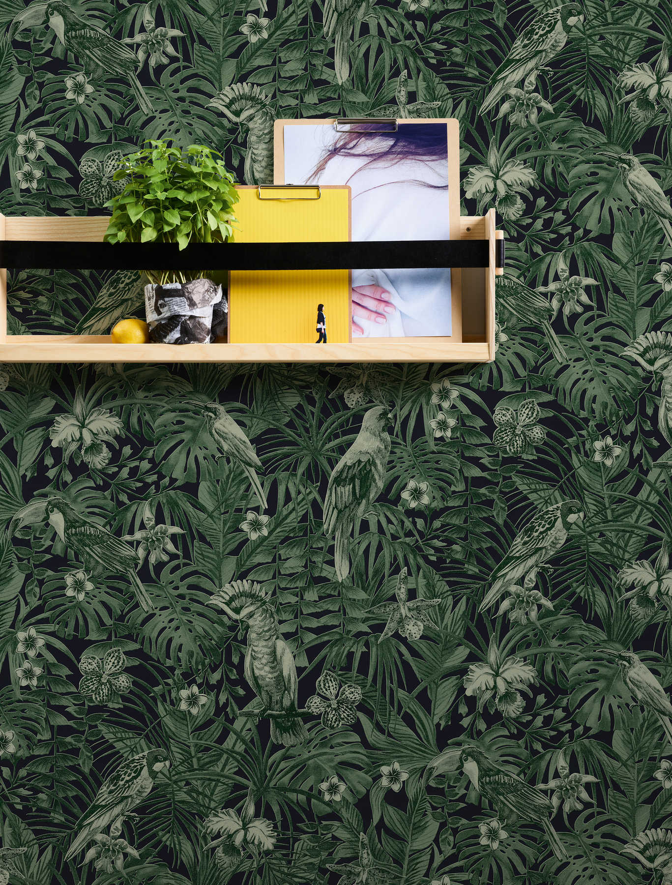             Tapete tropische Vögel & exotische Blüten – Grün, Schwarz
        