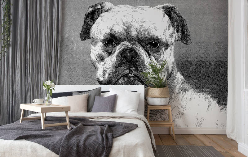 Wandtattoo, Hundewandbild, Großformat-Wandbild, Schwarz-weiß, Haustier-Motiv