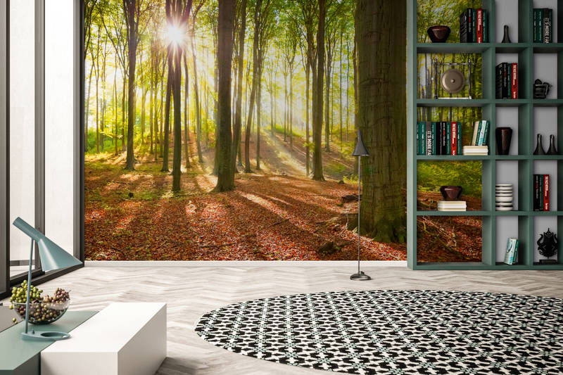 Wald-Wotiv, Wandmalerei Wald, Sonnenlicht, Bäume, Inneneinrichtung Wanddeko
