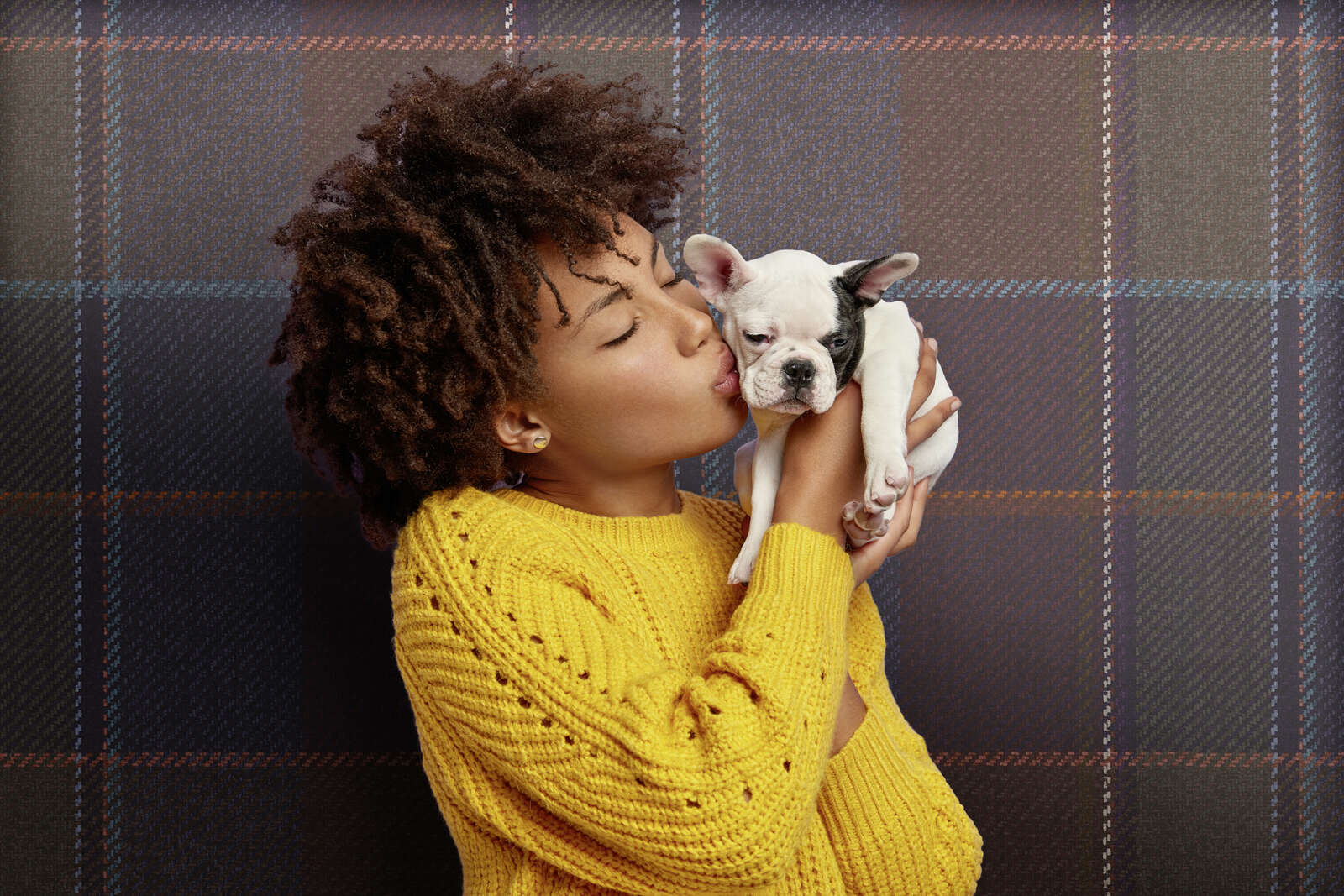 Hund, Welpe, Photographie, Person, Portrait